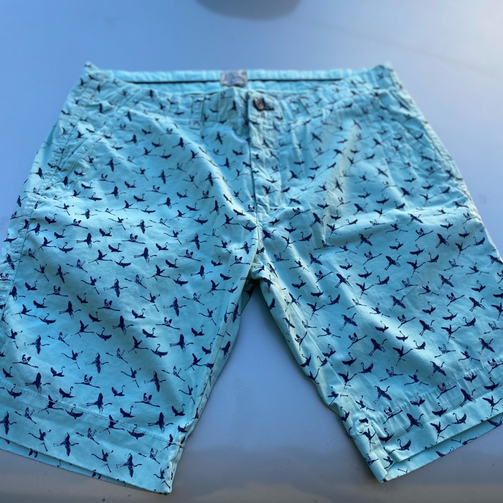 Dstrezzed Blue Striped Shorts